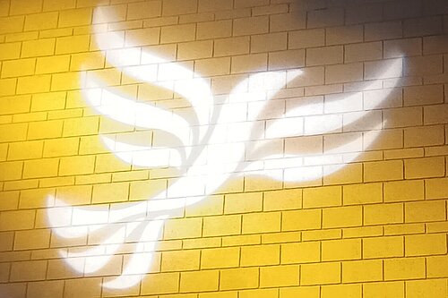 Lib Dem logo bird projected on blockwork